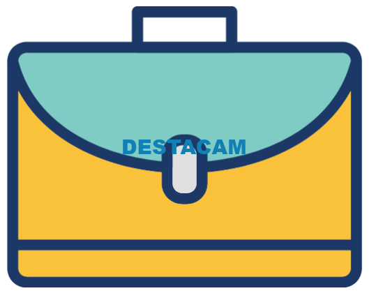 Data Analyst