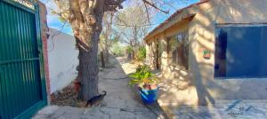 CASA  EN ALICANTE,AGOST